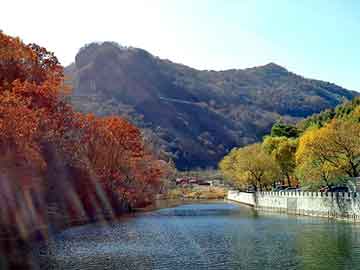 新澳天天开奖资料大全旅游团，长安逸动发动机